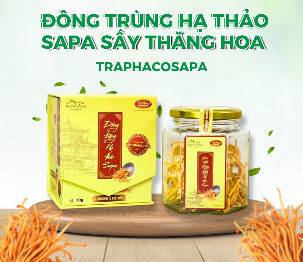 đông trùng sấy