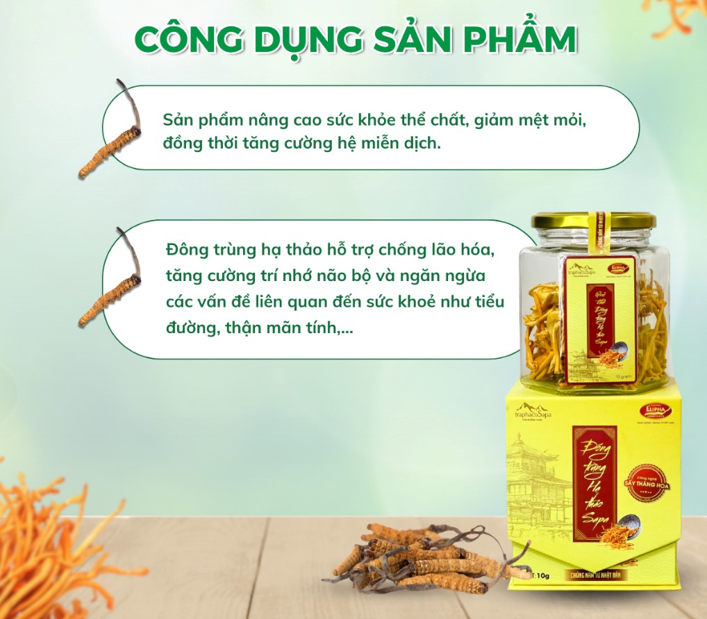 vn-11134207-7r98o-lwel3mghnsux66
