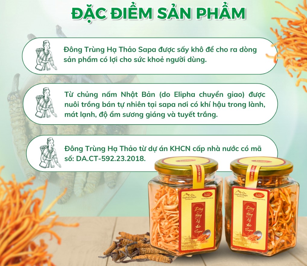 vn-11134207-7r98o-lwel3mghs0k982
